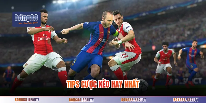 Tips cược kèo hay nhất
