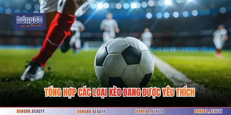 Tổng hợp các loại kèo đang được yêu thích