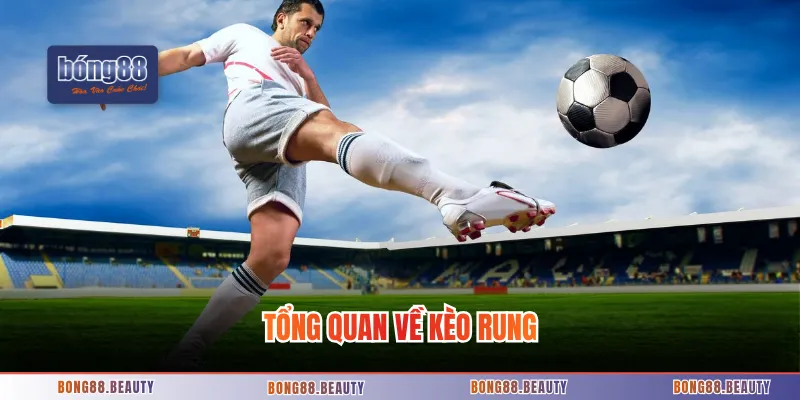 Tổng quan về kèo rung