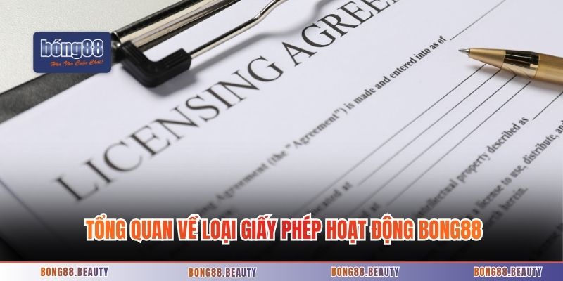 Tổng quan về loại giấy phép hoạt động Bong88