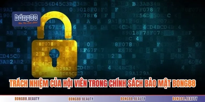 Trách nhiệm của hội viên trong chính sách bảo mật Bong88